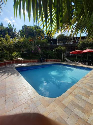 a large blue swimming pool in a yard at Agradable casa de Campo Villa Maruja. in Palmira
