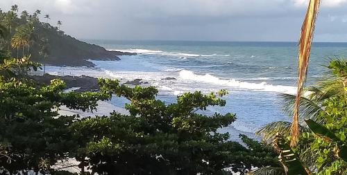 a view of the ocean from a beach with trees at Chalé na Praia da Tiririca in Itacaré