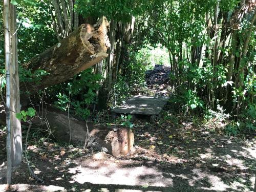 Κήπος έξω από το Cabaña en el Delta Arroyo Pajarito a 20 minutos de navegación