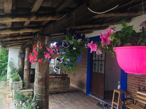 Ein Garten an der Unterkunft Hotel Vista Markés