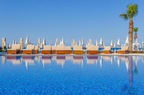uma piscina com espreguiçadeiras e uma palmeira em Flamingo Paradise Beach Hotel - Adults Only em Protaras