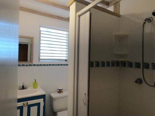 a bathroom with a shower and a toilet and a sink at Green Garden Apartment in Christ Church