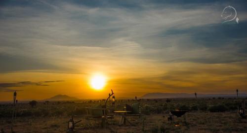 a sunset in the middle of a field with the sun setting at Amanya 1-Bed Elephant Suite Tent in Amboseli