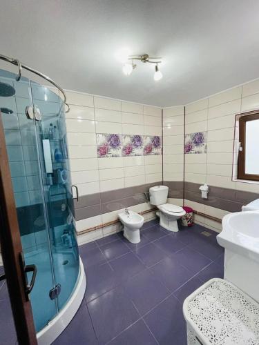 a bathroom with two toilets and a shower at Pensiunea Casa Mădă in Baia de Fier