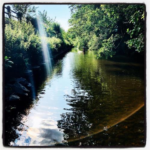 a view of a river with trees and a waterfall at Modern ground floor apartment with free parking very near centre in Ripon