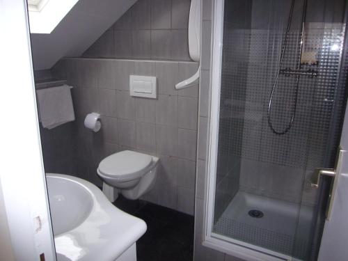 een badkamer met een douche, een toilet en een wastafel bij Chambres d'hôtes Résidence du Parc in Plombières-les-Bains
