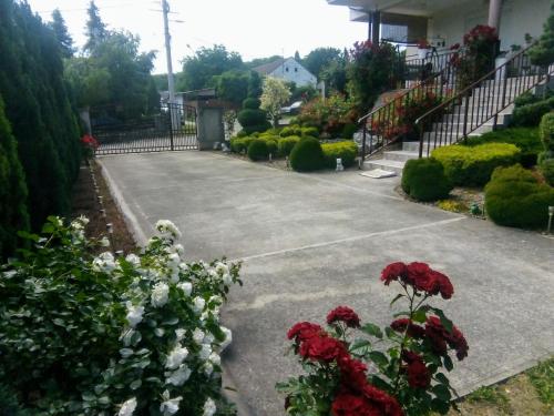 a driveway with red and white flowers in a yard at Apartment Vila MM Srce in Vrdnik