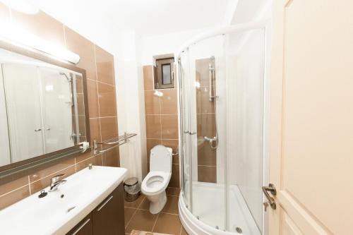 La salle de bains est pourvue de toilettes, d'un lavabo et d'une douche. dans l'établissement Hotel Mariss, à Alba Iulia
