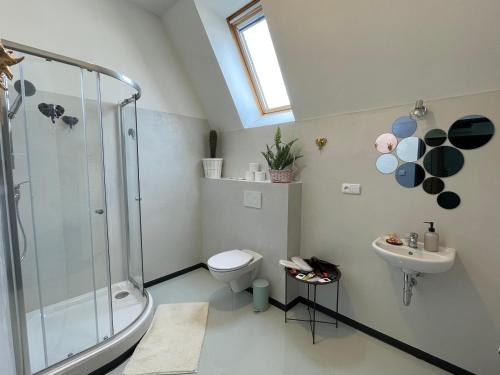 a bathroom with a shower and a toilet and a sink at Penzion Villa Amélie in Mladá Boleslav