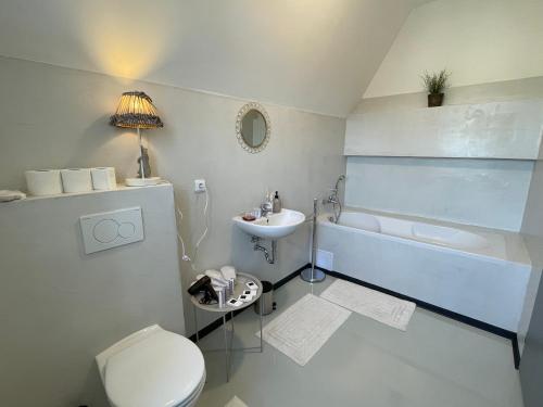 La salle de bains blanche est pourvue de toilettes et d'un lavabo. dans l'établissement Penzion Villa Amélie, à Mladá Boleslav