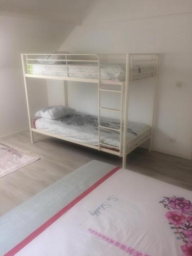 Cette chambre comprend 2 lits superposés et un tapis. dans l'établissement Maison de Vacances Cronat - Au Bord de l'EuroVelo 6, à Cronat