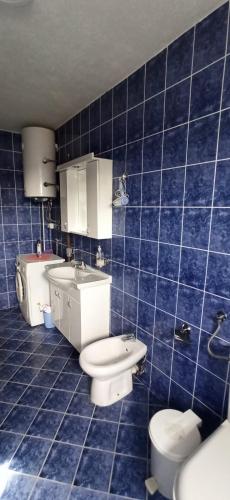 a blue tiled bathroom with a toilet and a sink at Vila Nikola & Aleksa in Vrnjačka Banja