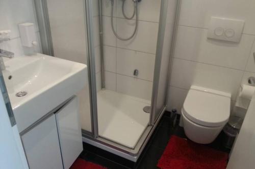 La salle de bains est pourvue d'une douche, de toilettes et d'un lavabo. dans l'établissement Mini apartment in fairy-tale city!, à Heidelberg
