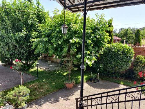 Zahrada ubytování Regent Garden