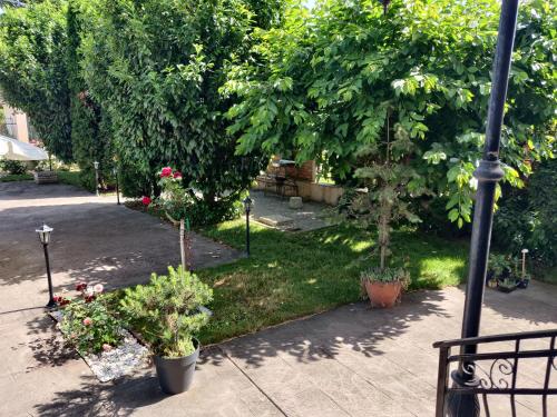 Zahrada ubytování Regent Garden