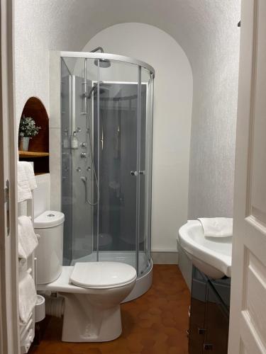 une salle de bain avec une douche, des toilettes et un lavabo dans l'établissement Gîtes des châteaux - gite A, à Selles-sur-Cher