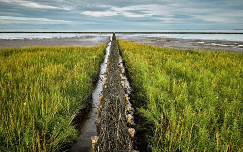 a fence in the middle of a field of grass at "FW Sonnenschein mit Pool, Balkon, Fahrrad und WLAN" in Wangerland
