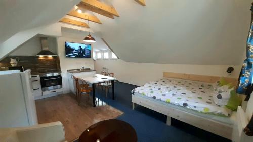 a small room with a bed and a kitchen at Apartmány pod Mariánskými schody in Albrechtice v Jizerských horách