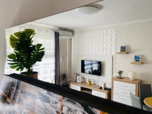 a living room with a tv and a potted plant at Sweet Central Apartment ,in the City center in Eger