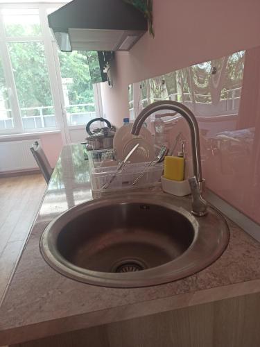 a kitchen sink with a faucet on a counter at Hotel Caucase in Tbilisi City