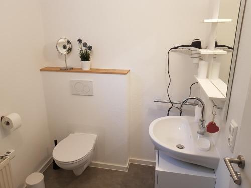 a white bathroom with a toilet and a sink at Wohnung Wiesengrün - Osserblick in Lam