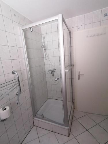 a shower with a glass door in a bathroom at Ferienwohnung Dillamar in Veitshöchheim