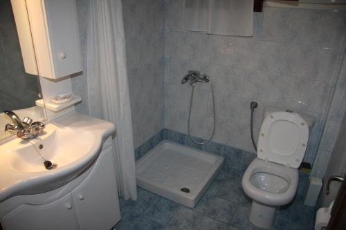 uma casa de banho com um chuveiro, um WC e um lavatório. em Aris Junior Studios Neo Klima Skopelos em Neo Klima
