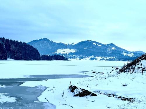 a snow covered lake with mountains in the background at Chalet du Lac in Colibiţa