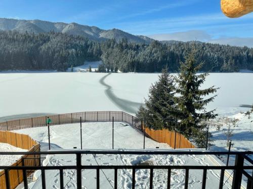 a view of a snow covered lake with a fence at Chalet du Lac in Colibiţa