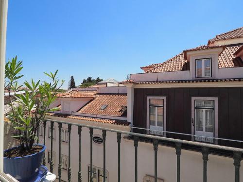 Amaro - Lissabon Altstadt