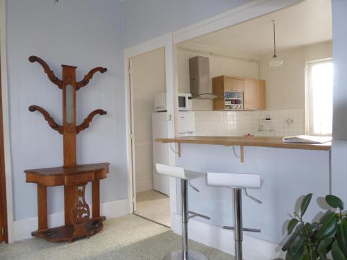 Il comprend une cuisine équipée d'un comptoir et d'un réfrigérateur blanc. dans l'établissement Les Reflets, à Chalon-sur-Saône