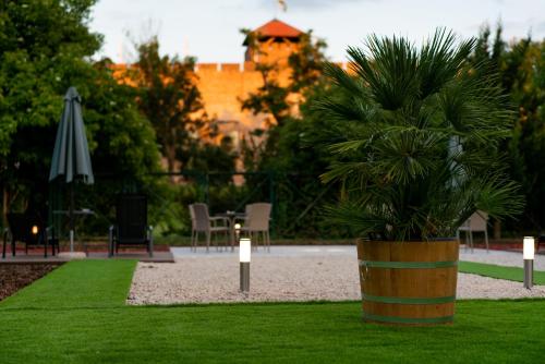 a potted plant in a yard with a table and an umbrella at Elizabeth Hotel in Gyula