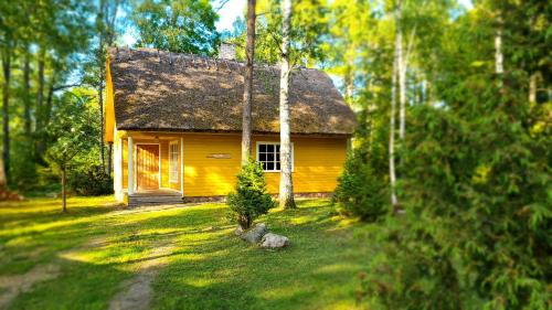 a small yellow house in the middle of a yard at Marta-Lovise puhkemaja Aliine in Kipi