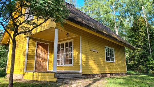 Una casa amarilla con un árbol delante. en Marta-Lovise puhkemaja Aliine, en Kipi