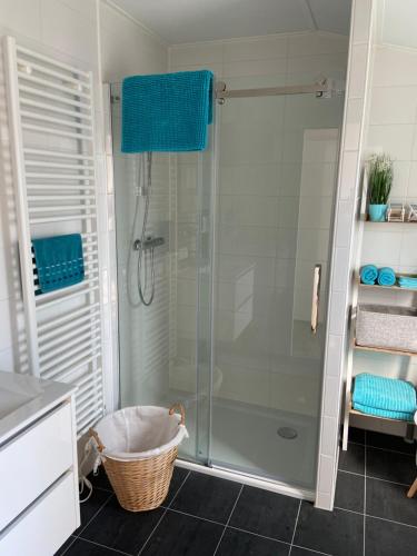 a shower with a glass door in a bathroom at Lieblingsplatz Koblenz in Koblenz