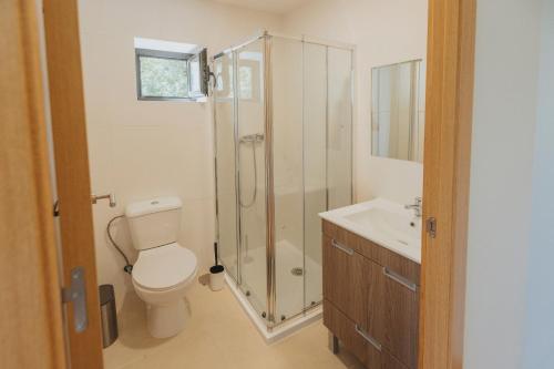 a bathroom with a shower and a toilet and a sink at Casa Velha de Ponta Sôto in Cela