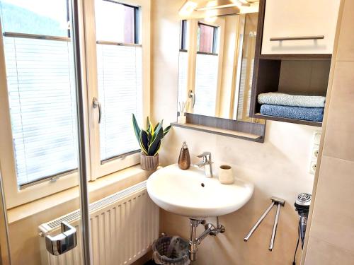 a bathroom with a sink and a window at Apartments Fasl in Gosau