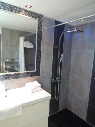 une salle de bain avec une douche, un lavabo et un miroir dans l'établissement ACCI Cannes Les Yuccas, à Cannes