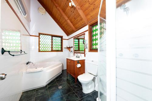 a bathroom with a tub and a toilet and a sink at Hidden Haven Barrington Tops in Cobark