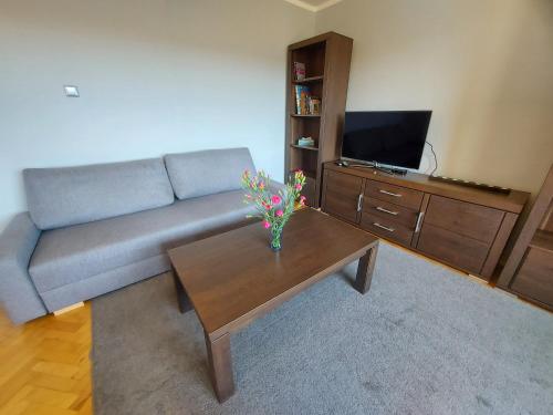 TV o dispositivi per l'intrattenimento presso Wygodny Przestronny Apartament Janowskie Błonia Rumia