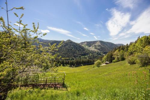 a gate in a field with mountains in the background at Ferienwohnung Lavendel Thalerhof in Ponte Nova