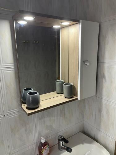 La salle de bains est pourvue d'un lavabo, d'un miroir et d'un miroir. dans l'établissement Bajcsy Lak, à Siófok