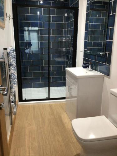 a bathroom with a toilet and a glass shower at Victoria Cottage in Reeth
