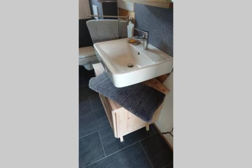 a bathroom with a white sink and a counter at Mothsgut - moderne Ferienwohnung auf dem Bauernhof im Erzgebirge in Oelsnitz