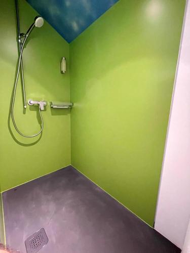 a bathroom with a shower in a green wall at Boutique und Bier Hotel des alpes in Fiesch