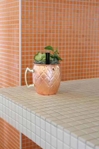 a potted plant sitting on a counter in a bathroom at Cosmiques Hotel - Centre Chamonix in Chamonix-Mont-Blanc