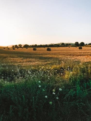 a field with hay bales in a field with flowers at Casa Terzerie in Braccagni