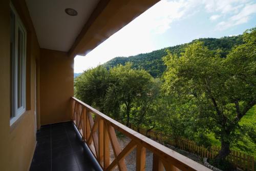 Příroda nedaleko hotelu