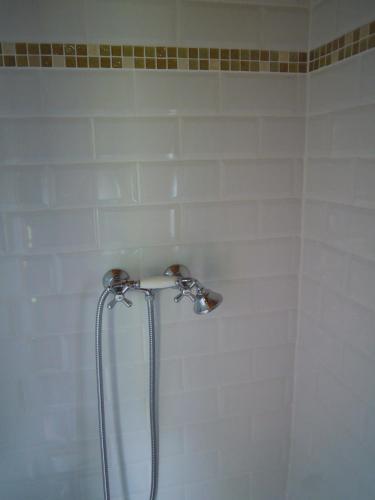 une douche avec pommeau de douche dans une salle de bain dans l'établissement CHARLOTTE LA ROULOTTE, à Grosbreuil
