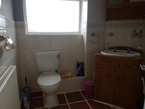 a bathroom with a toilet and a sink and a window at The Old Shipyard in West Bay